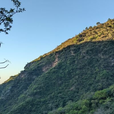 Sheri6955's profile picture. From Islamabad 
Age 23 
Good looking muscular body 🏋️