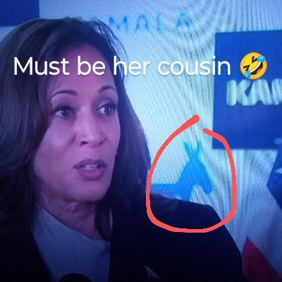 Askquestions85's profile picture. Not for the novice.