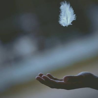 jyotikumaryada7's profile picture. Always be positive