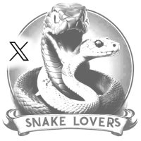 Snake of God🐍 (@snake_on_x) 's Twitter Profile