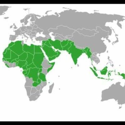 aaqaied3's profile picture. وَٱلَّذِينَ تَبَوَّءُو ٱلدَّارَ وَٱلْإِيمَٰنَ مِن قَبْلِهِمْ يُحِبُّونَ مَنْ هَاجَرَ إِلَيْهِمْ وَلَا يَجِدُونَ فِى صُدُورِهِمْ حَاجَةً مِّمَّآ أُوتُوا۟