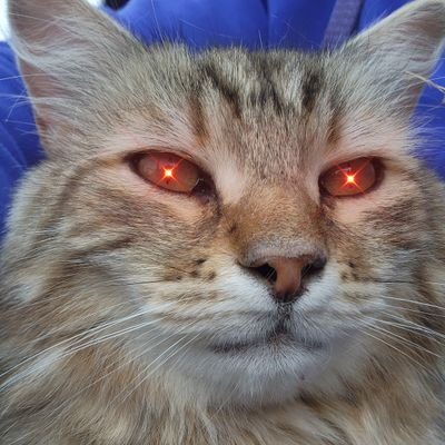 djbke's profile picture. Hmmmmm, let me think.....