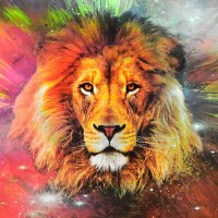 Drew P Crypto (@drewp74) 's Twitter Profile
