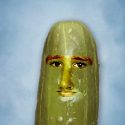 falixo_'s profile picture. un mec random avec un bio random