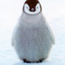 Tats (@tatspots) Twitter profile photo Tats (@tatspots) Twitter profile photo