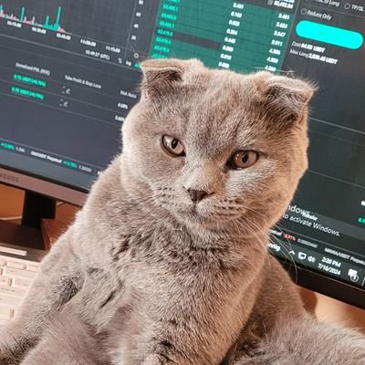 mirhoss43937370's profile picture. crypto in it for the tech