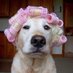 Vero .🧡💔 (@veroloren) Twitter profile photo Vero .🧡💔 (@veroloren) Twitter profile photo