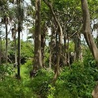 Mutarr Seck (@mutarrs46854) 's Twitter Profile