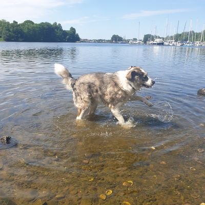 FruleinKathari1's profile picture. Therapeutin: ich bin realistisch, versuchen wir das Unmögliche!