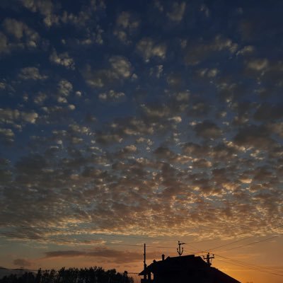 Aishalone_'s profile picture. Trying so hard to escape from reality.