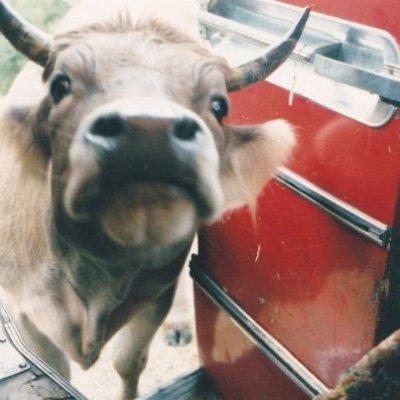 KathKAB's profile picture. 