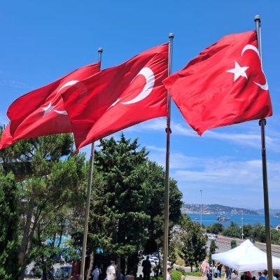 msjsjddldlsldkj's profile picture. 