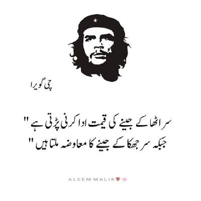 star68273725191's profile picture. Thanks