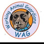 workinganimalguardians@gmail.com (@wagireland) Twitter profile photo