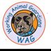 workinganimalguardians@gmail.com (@wagireland) Twitter profile photo workinganimalguardians@gmail.com (@wagireland) Twitter profile photo
