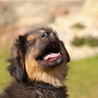 konatsu334737's profile picture. 収入アップの秘訣やお得情報など教えたりしています。自分自身お金に苦労した経験から生活に困っている方を救いたいと思い、ほんの僅かですがお金配り企画をしています！ 期間限定➡ https://t.co/H3WPqnyHNr