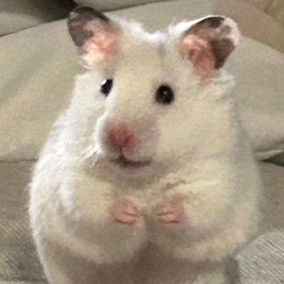 無さんのプロフィール画像