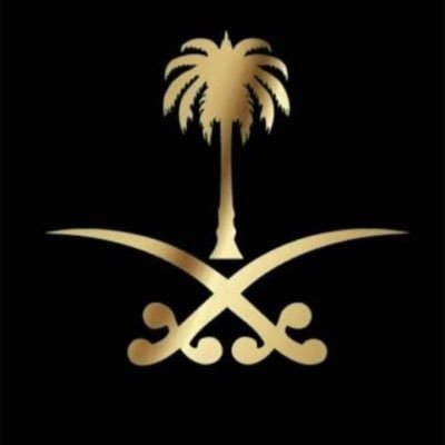 010AVN's profile picture. 