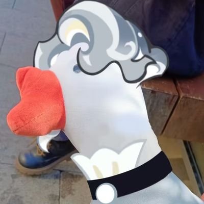 caizさんのプロフィール画像