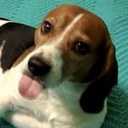 Nate Macias - @NateJMacias - Twitter