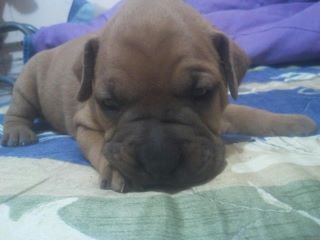 RICO_9090's profile picture. solo  vivo al dia  mañana quien sabe