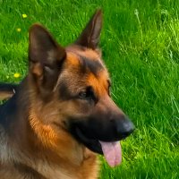 Eve La Rebelle 🇨🇵🇨🇵🇨🇵 (@dav35525esko) 's Twitter Profile Photo Eve La Rebelle 🇨🇵🇨🇵🇨🇵 (@dav35525esko) 's Twitter Profile Photo