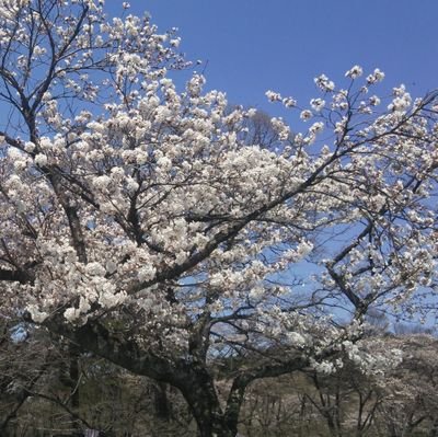 TA328ATU2235150's profile picture. 童顔、ガチデブ専