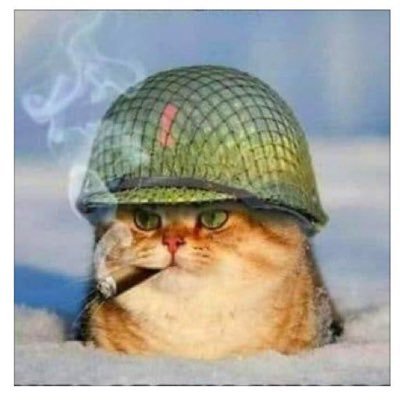 thureelnee53236's profile picture. 