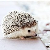 副業で安定した収入を得る方法を紹介中。副業を始めてみたい人に役立つ情報をお届け。少しですが現金給付企画もしています♪ フォロワーさん優先▶ https://t.co/UHFdkWFw7z