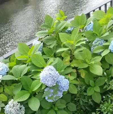 卵さんのプロフィール画像