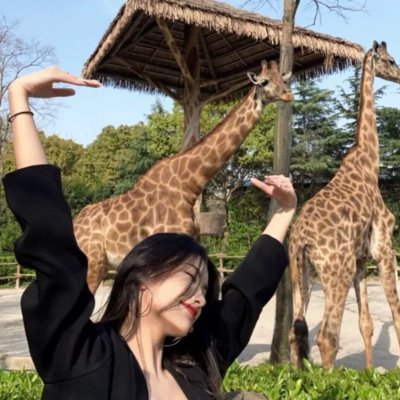 krisha_yap's profile picture. 