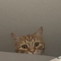 chris (@chrisdotai) 's Twitter Profile