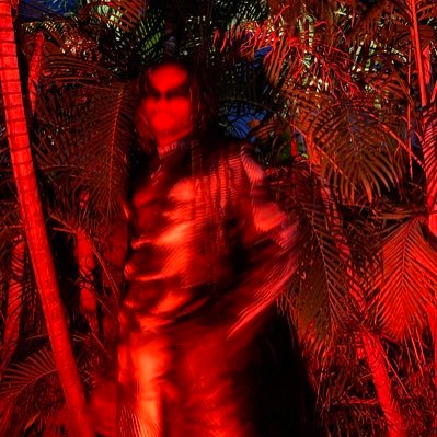 sexframed's profile picture. sex is art