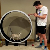 John (@jo_ohnconnor) 's Twitter Profile