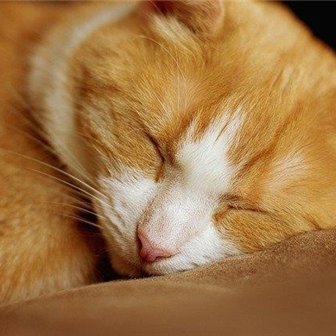 Sachi9928467118's profile picture. CEO/投資家。昔、ビジネスに失敗し多額の負債を負う、諦めずに再び起業し複数経営。現在は有益情報を教えたり、自身がお金に苦労した経験からお金に困っている方を助けたいと思い、わずかですが現金給付企画をしています★ コチラから→https://t.co/ictKgoy0dR