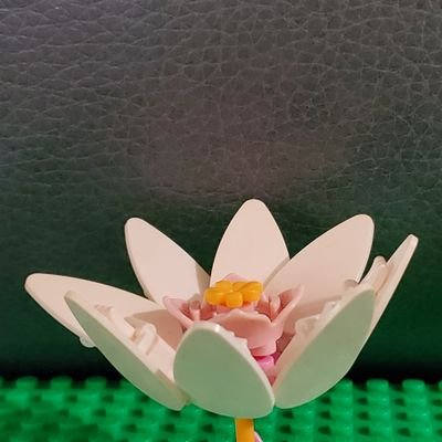 Artist, stone carver. Art, stone, lego, politics
Liberal af, 🏳️🌈🏳️⚧️ she/they/he NB #KHive PayPal: jamiesbowen@gmail.com venmo @JamieSBowen