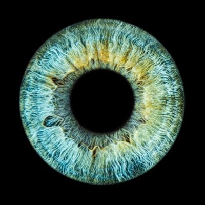 sbhunty's profile picture. The only official twitter for sb Hunt.