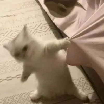 rugpullsol's profile picture. i will rug