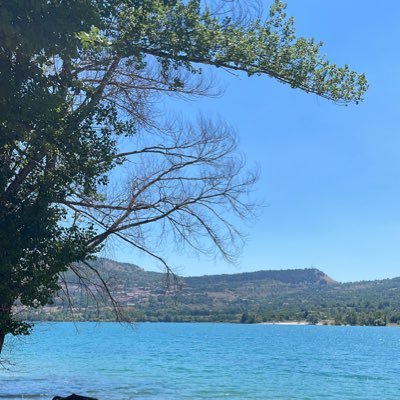 purtroppoale's profile picture. 