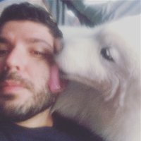 🐺Alejo🐺 (@alejoawd) 's Twitter Profile Photo 🐺Alejo🐺 (@alejoawd) 's Twitter Profile Photo