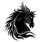 thomasmill00's profile picture. Un caballo libre jamás podrá entender la felicidad del que lleva la boca llena de hierros