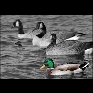 BizMrktgTools's profile picture. Marketing professional, published author, M.S. Education Degree, Entrepreneur.  I tweet marketing news/tip/resources for businesses + marketing professionals.