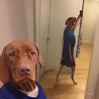 bnkcrypto (@leofelipeap) 's Twitter Profile