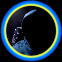 ⲫⲁⲛⲧⲟⲙ (@iphantoo) 's Twitter Profile