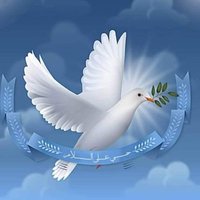 الضماء‎ (@m2647sagr) 's Twitter Profile