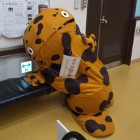 【公式】京都大学爬虫両棲類学研究室クラウドファンディング (@nishikawa_lab) 's Twitter Profile