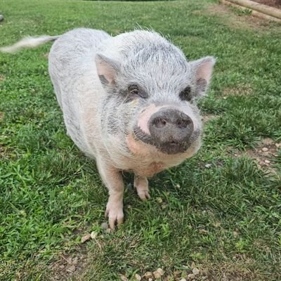 noneya2730's profile picture. 