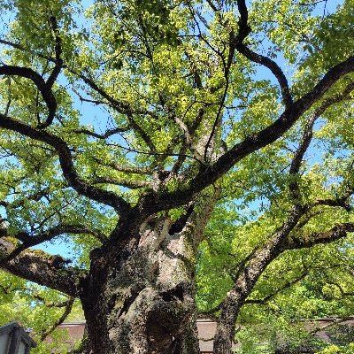 ichi_life_23's profile picture. ▷30代
▷小学生姉妹の母
▷青色申告は自力でやる自営業の妻
▷簿記２級持ち元事務職Webライター