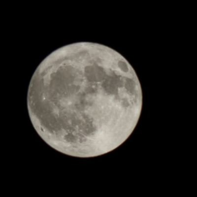 miorbius's profile picture. 