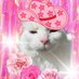 Freya May (@freyamaythecat) Twitter profile photo Freya May (@freyamaythecat) Twitter profile photo